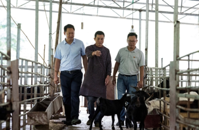 东风送暖，沃土生金 巩固脱贫攻坚成果，拓宽老乡致富路